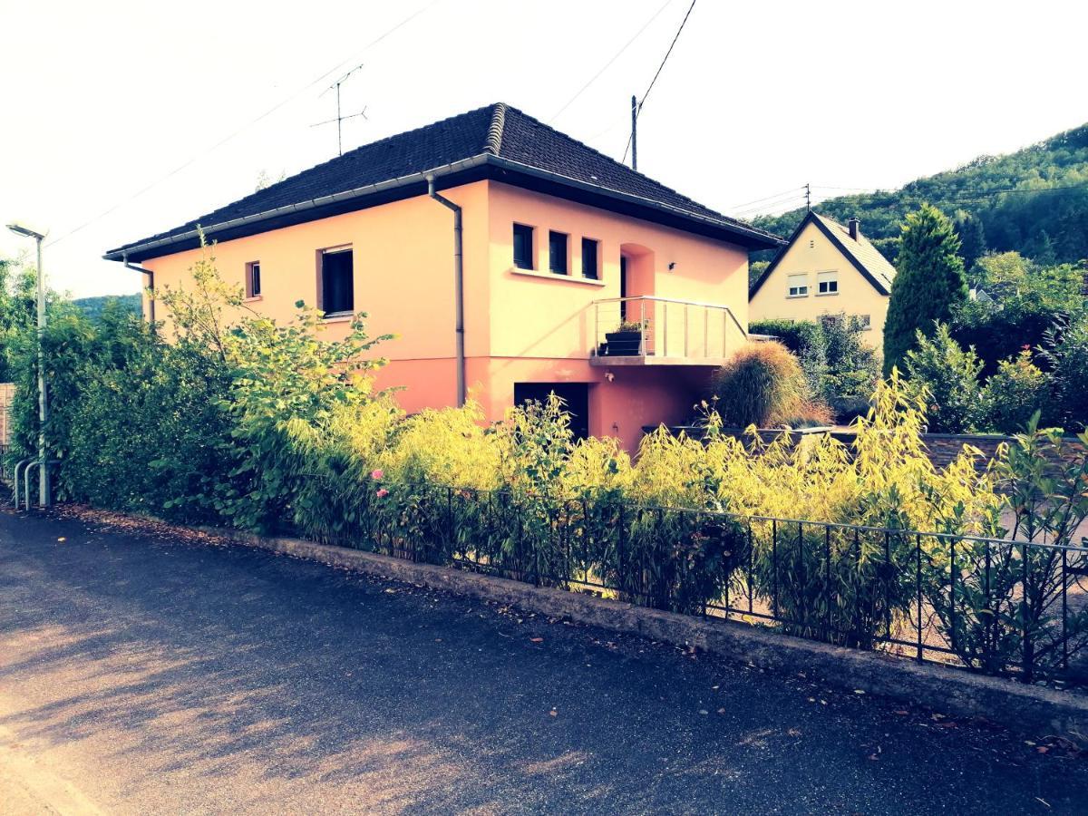 Apartament Le Ptit Lou Kaysersberg-Vignoble Zewnętrze zdjęcie