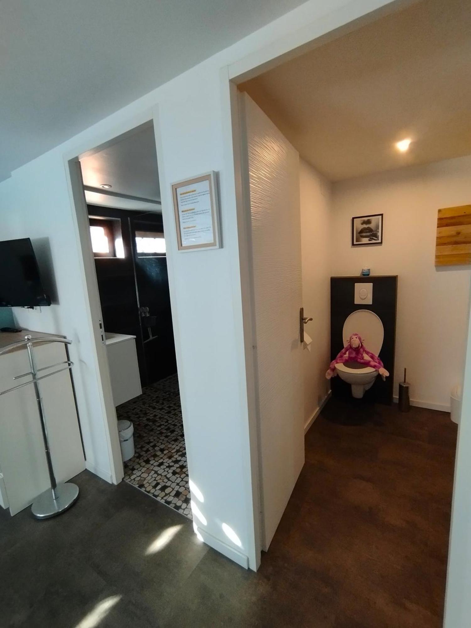 Apartament Le Ptit Lou Kaysersberg-Vignoble Zewnętrze zdjęcie
